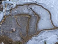 Durchsichtige und grauweiße Strukturen in dünner Eisfläche